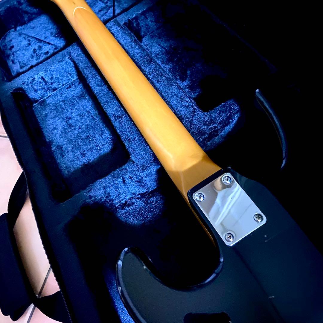 aria pro Ⅱ RS knight warrior 抜け殻 送料無料❗️