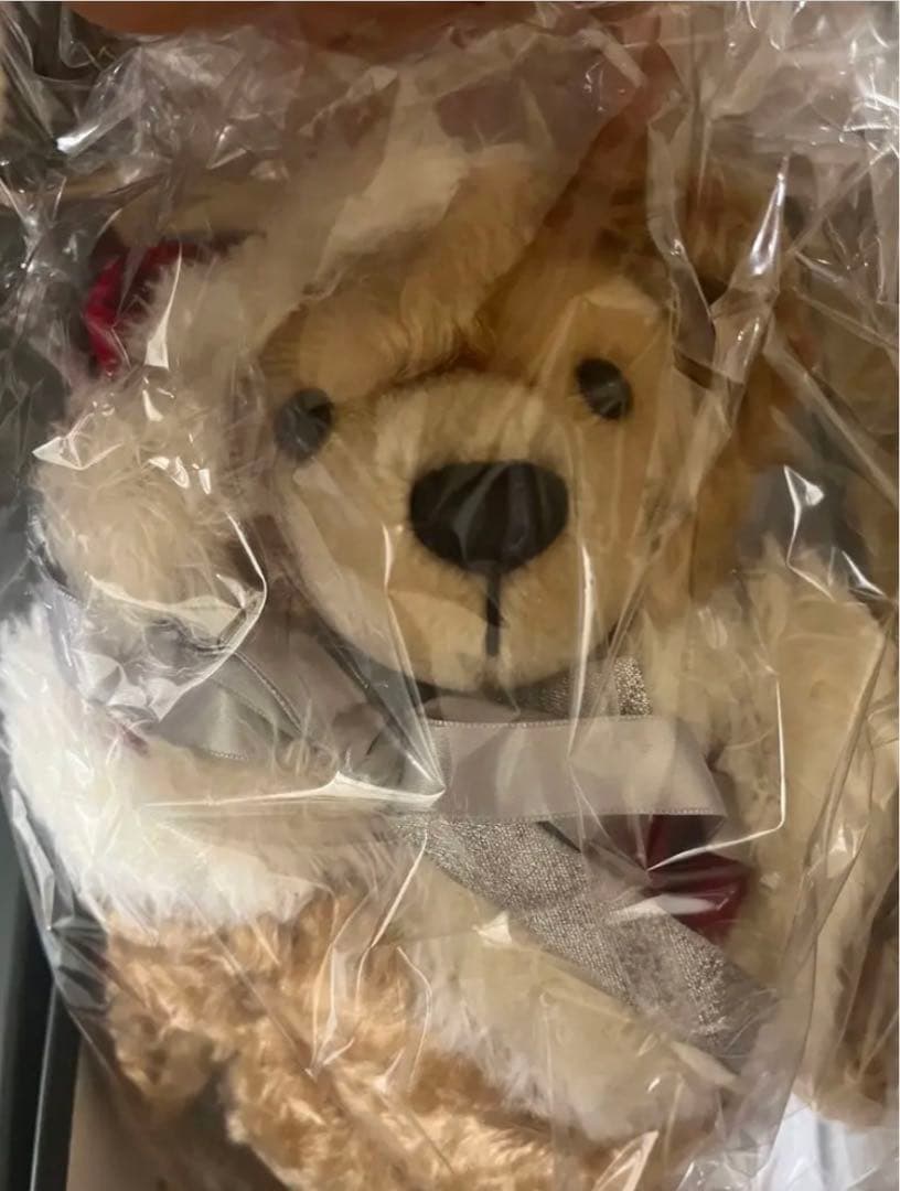 ディズニーシー20周年　シュタイフ ダッフィーサンタ　クリスマス