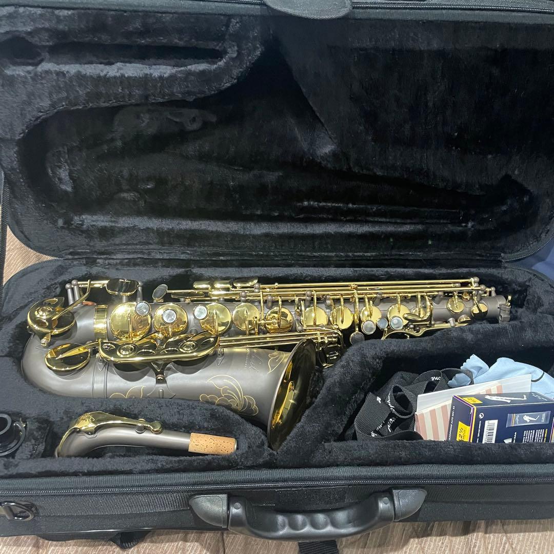 管楽器・吹奏楽器 FAS-3000GML