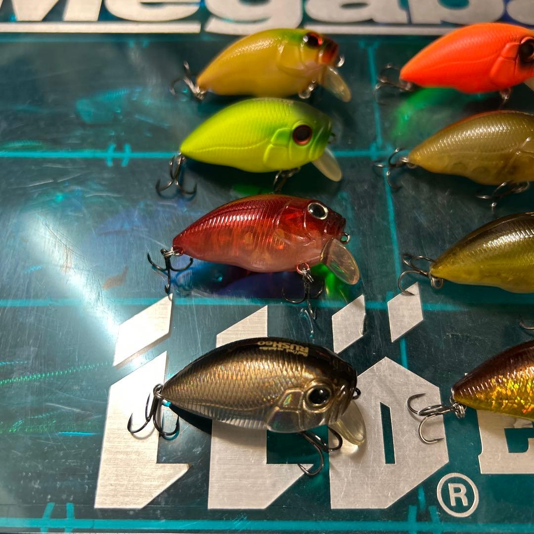 インキュベーター RUSH ラッシュ 60 DROP ドロップ 75