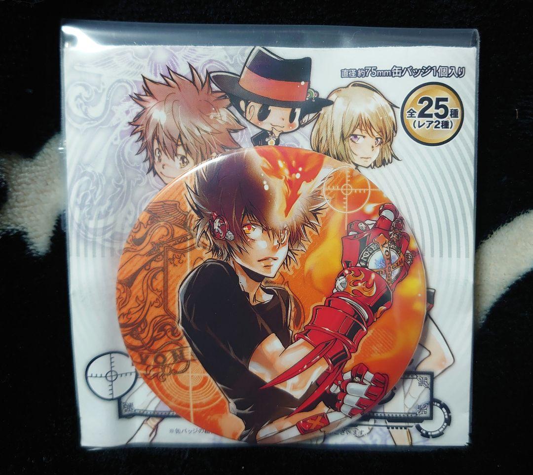 Rebo＆Dlive コレクション缶バッジ 沢田綱吉