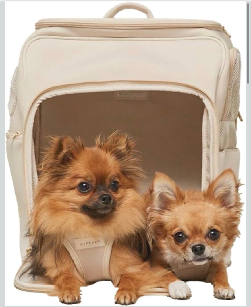 City dog ネオプレーンハウスキャリー オフホワイト