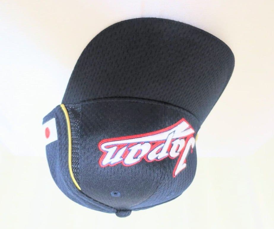 JAPAN プロコレクション MIZUNOPRO ジャパン 日本代表 ミズノプロ