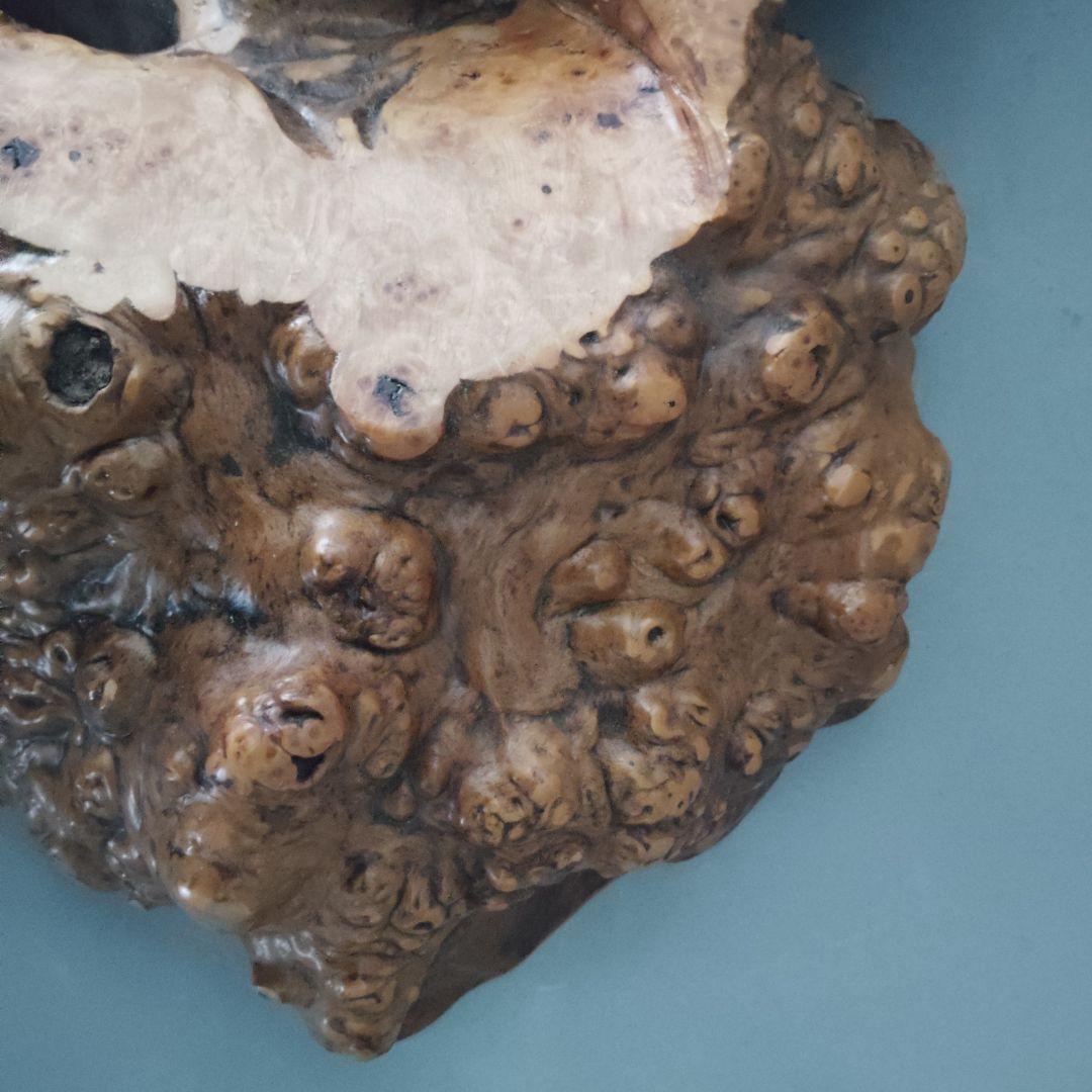 瘤杢一枚板③ 花台 置台 花瓶台 盆栽台 飾り台 アンティーク 侘び寂び