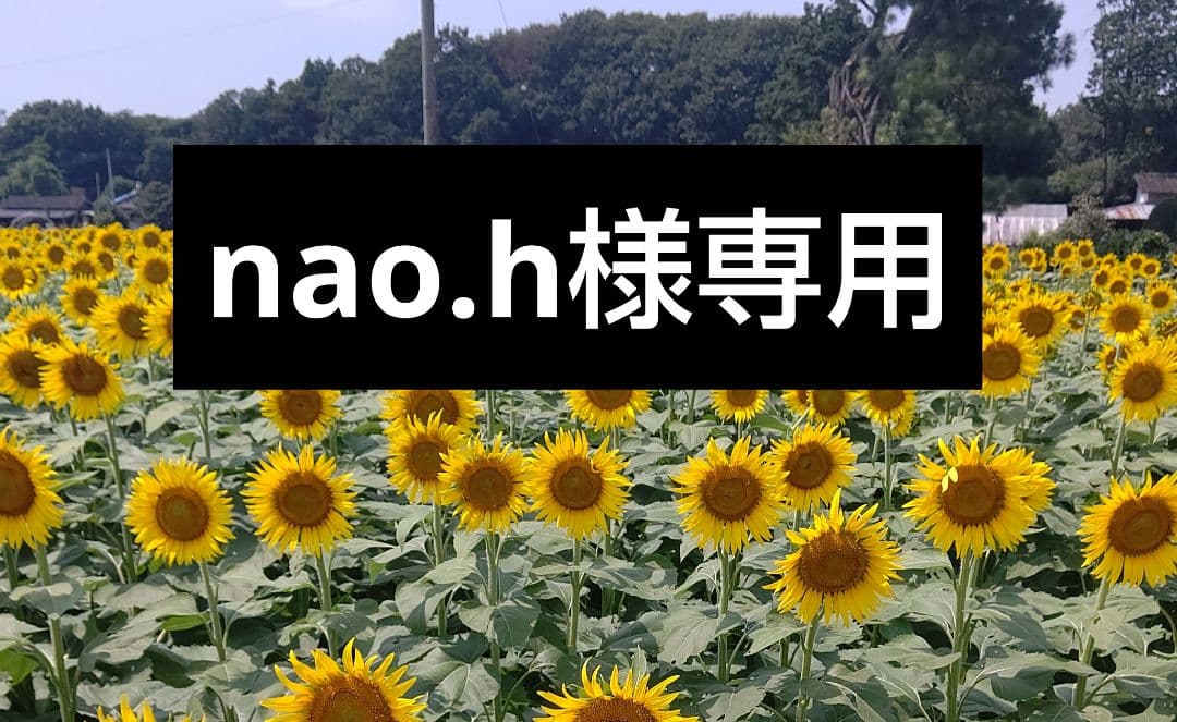 YONEX パワークッションエアラスZワイド 24.0cm ネイビーブルー