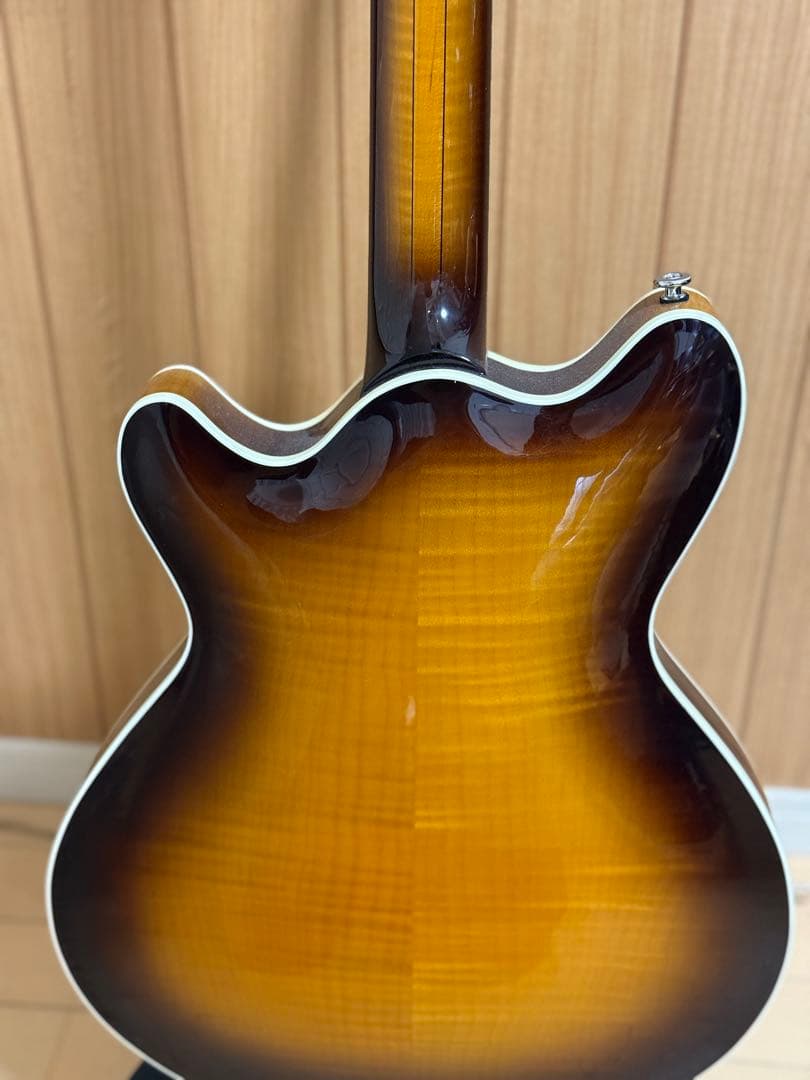 T’s guitars Arc Hollow Jazz
