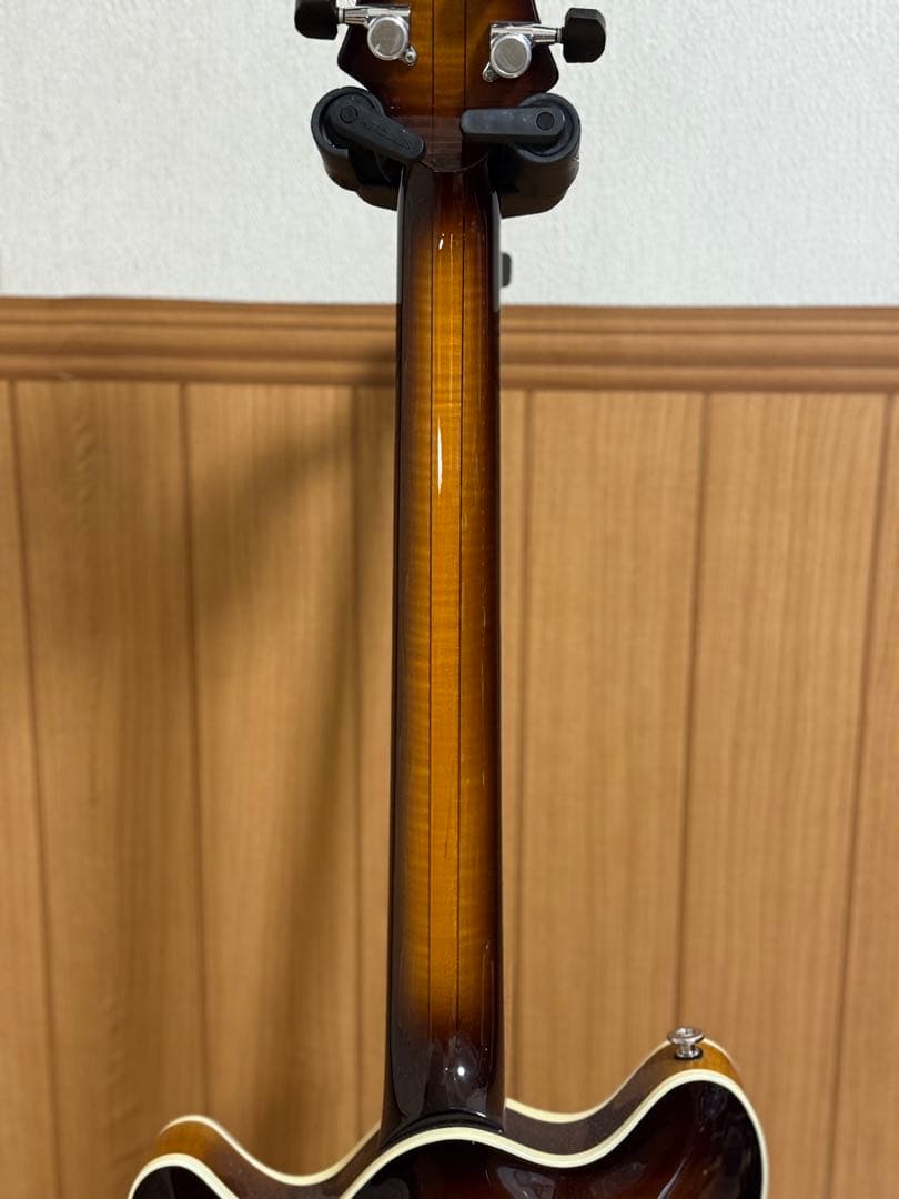 T’s guitars Arc Hollow Jazz