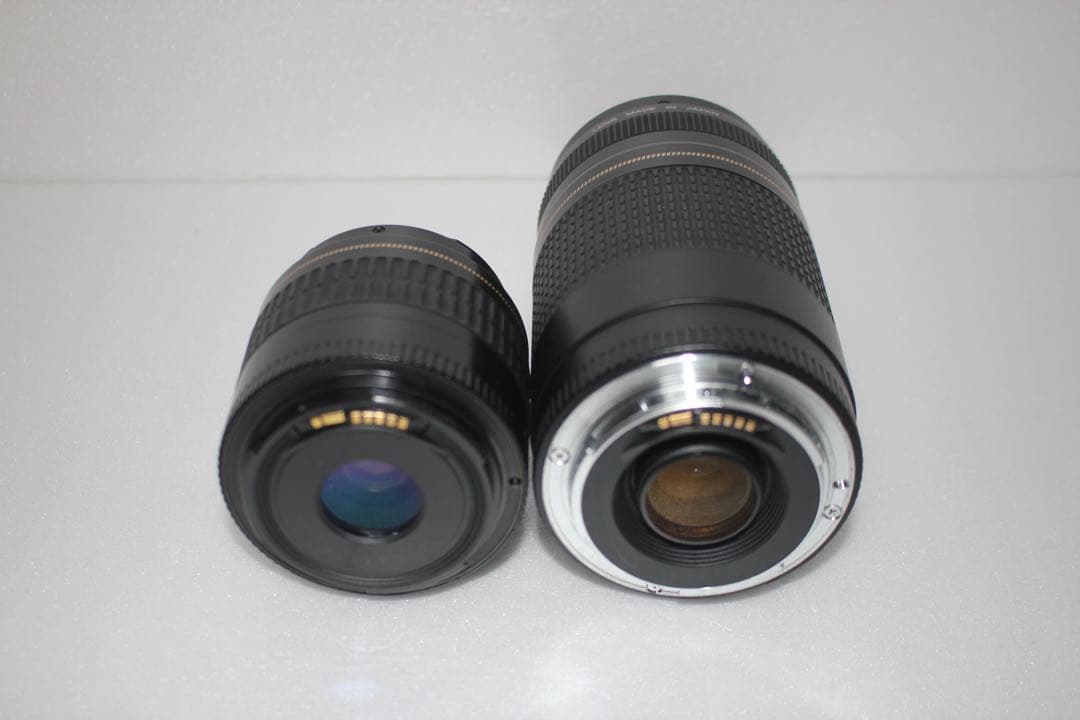 一眼レフカメラ　Canon EOS 90D標準&望遠ダブルレンズセット