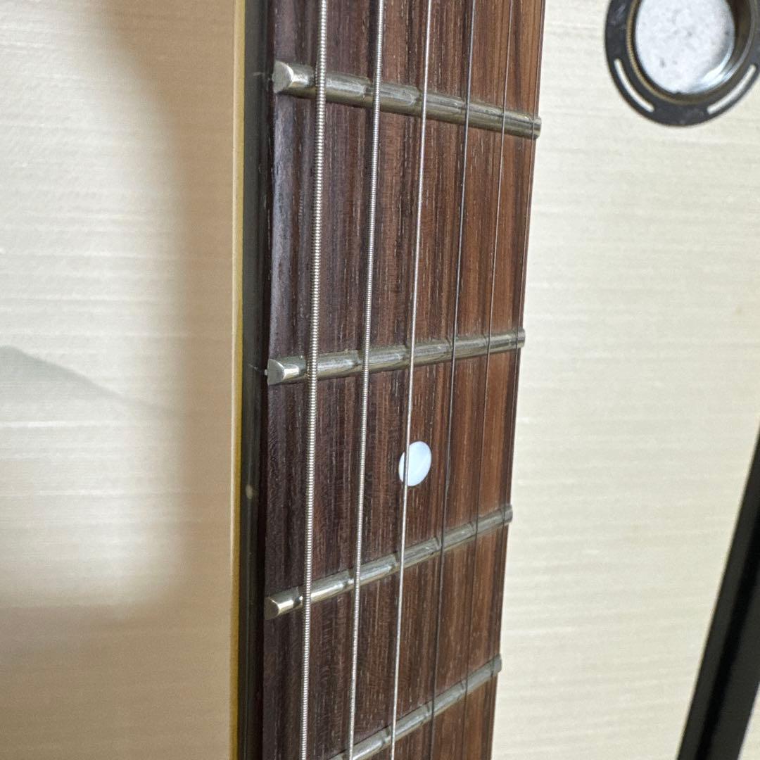 photogenic レスポールタイプ