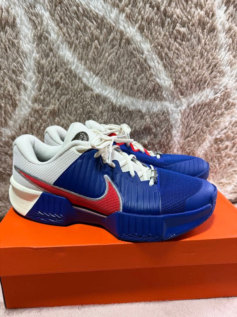 Nike GP チャレンジ Pro 27.5cm テニスシューズ　ハードコート