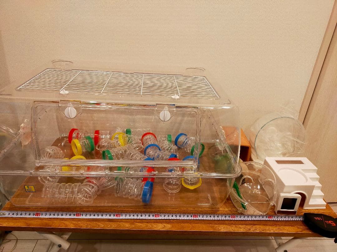 ルーミィ60 ベーシック 飼育セット