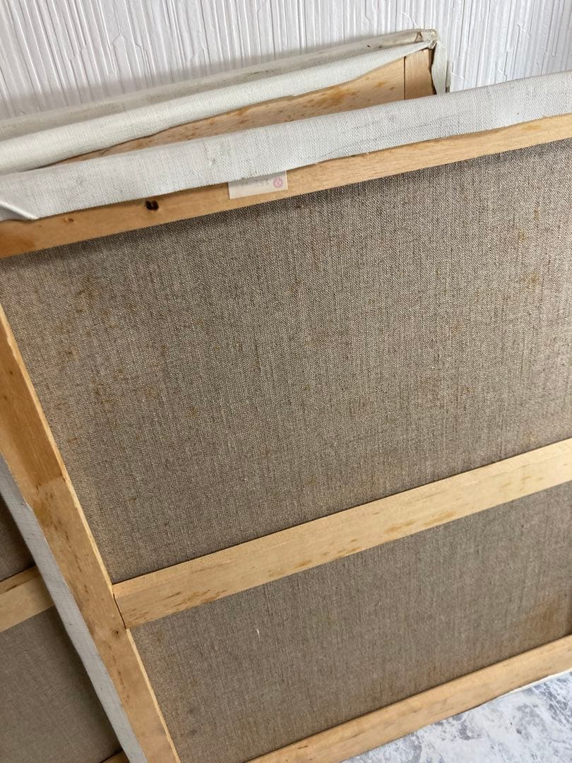 F10号キャンバス×4とF6号キャンバス×2のセット【キャンバス合計6つ】