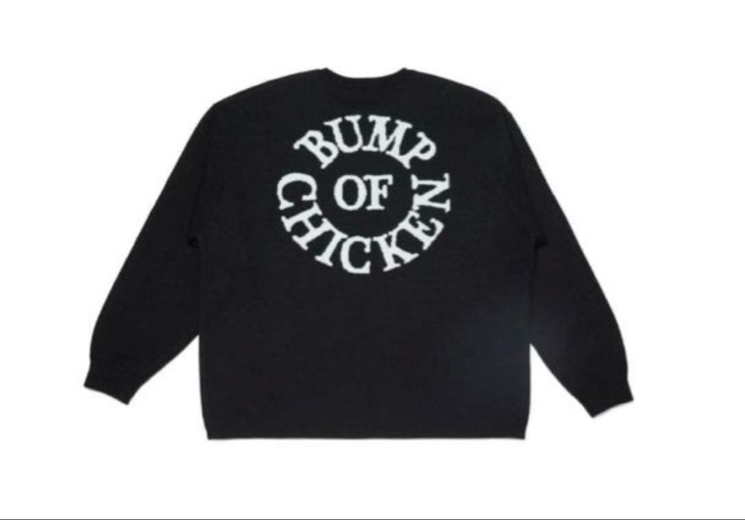 BUMP OF CHICKEN ロゴニット　Lサイズ