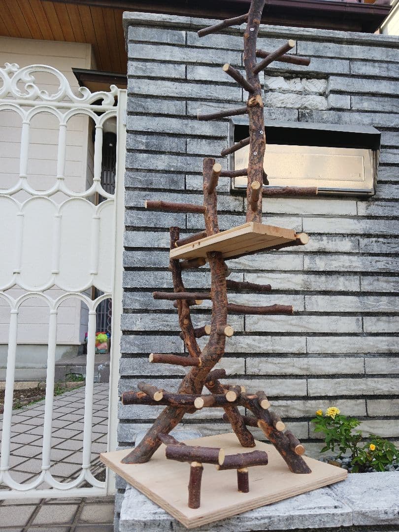 バードアスレチック バードアスレチックジム 止まり木、小鳥 No.911