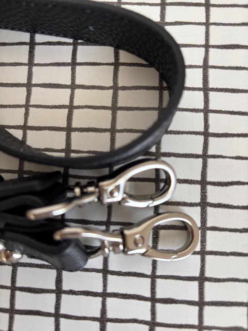 イアパピヨネスタッズショルダーバック