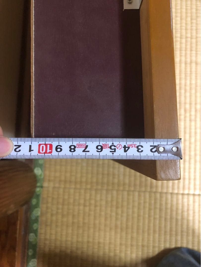 サクラマス 標本　剥製　フレーム入り