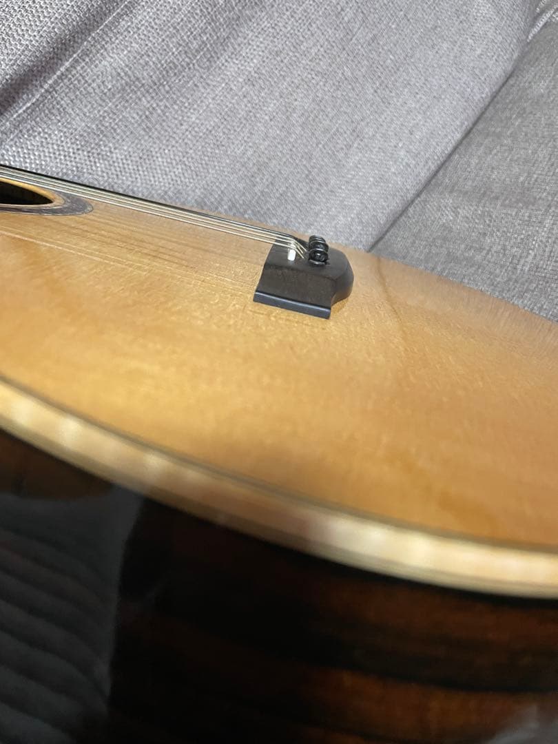 ギター Lakewood A-45 Custom Ziricote Europian