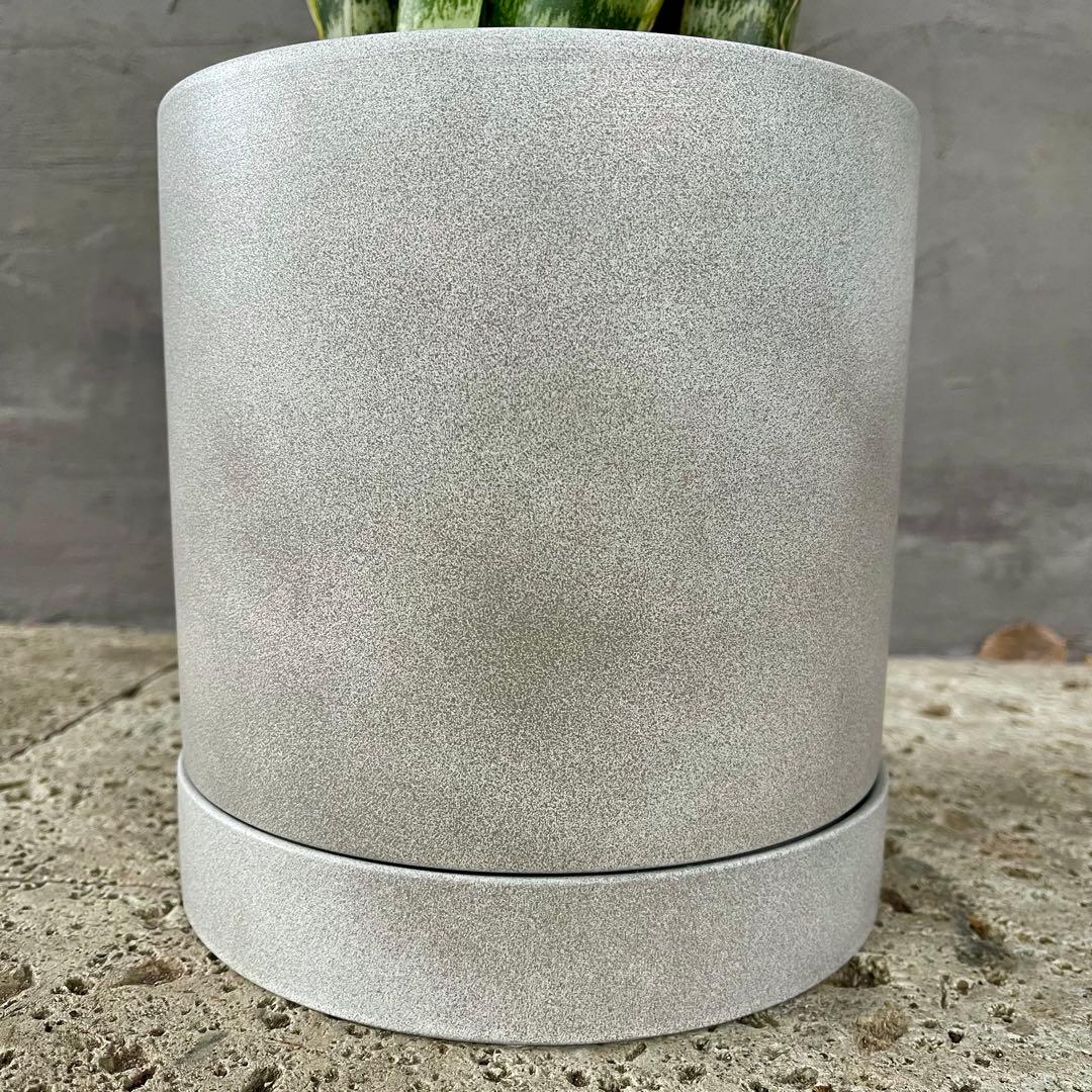 サンスベリア　ローレンティ　陶器鉢　植え込み発送