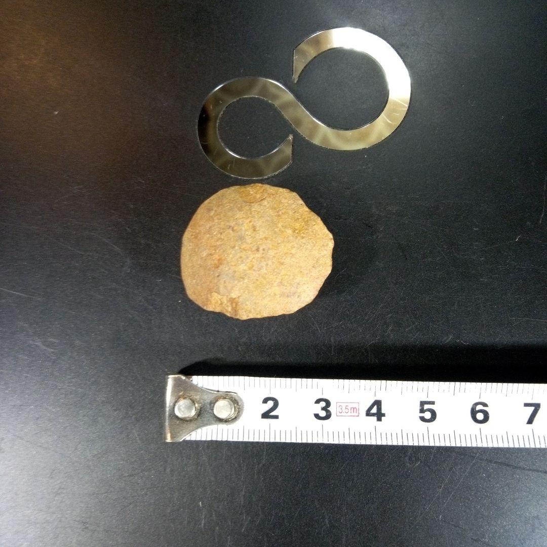 三葉虫　化石　fossil　海　ボリビア産　trilobite　海生動物種別①