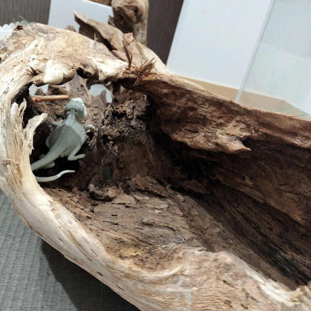 【No.901】超大型シェルター流木　爬虫類レイアウト✫