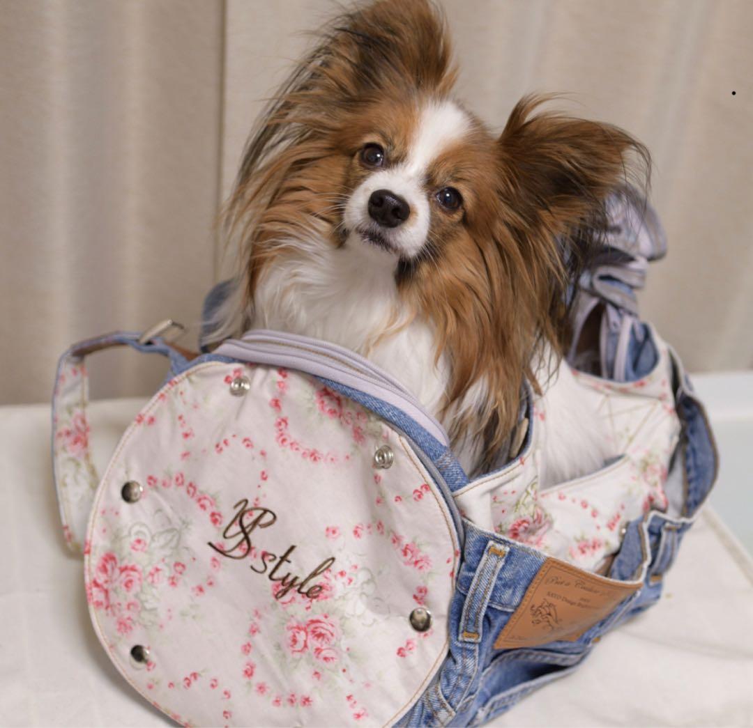 ルシアンエサヨ リデューキャリー Lサイズ