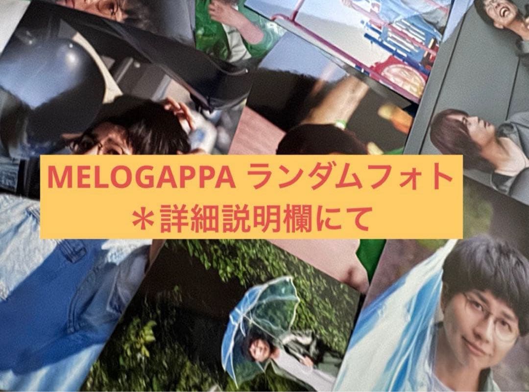 ランダムフォト