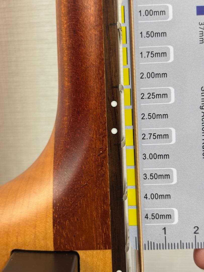 ヤマハ サイレントギターSLG-100S