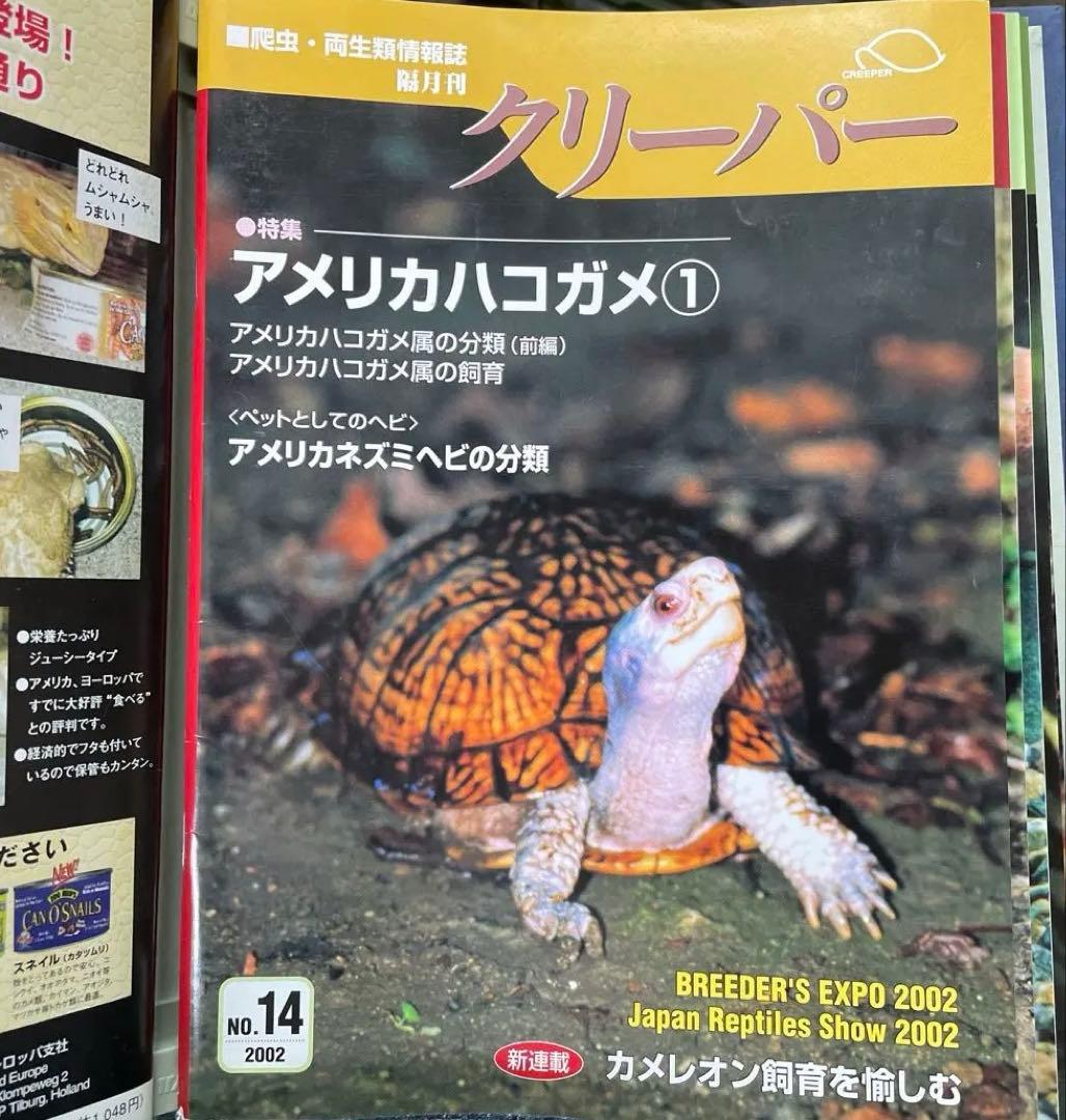 クリーパー 13号から18号　6冊　バインダーセット