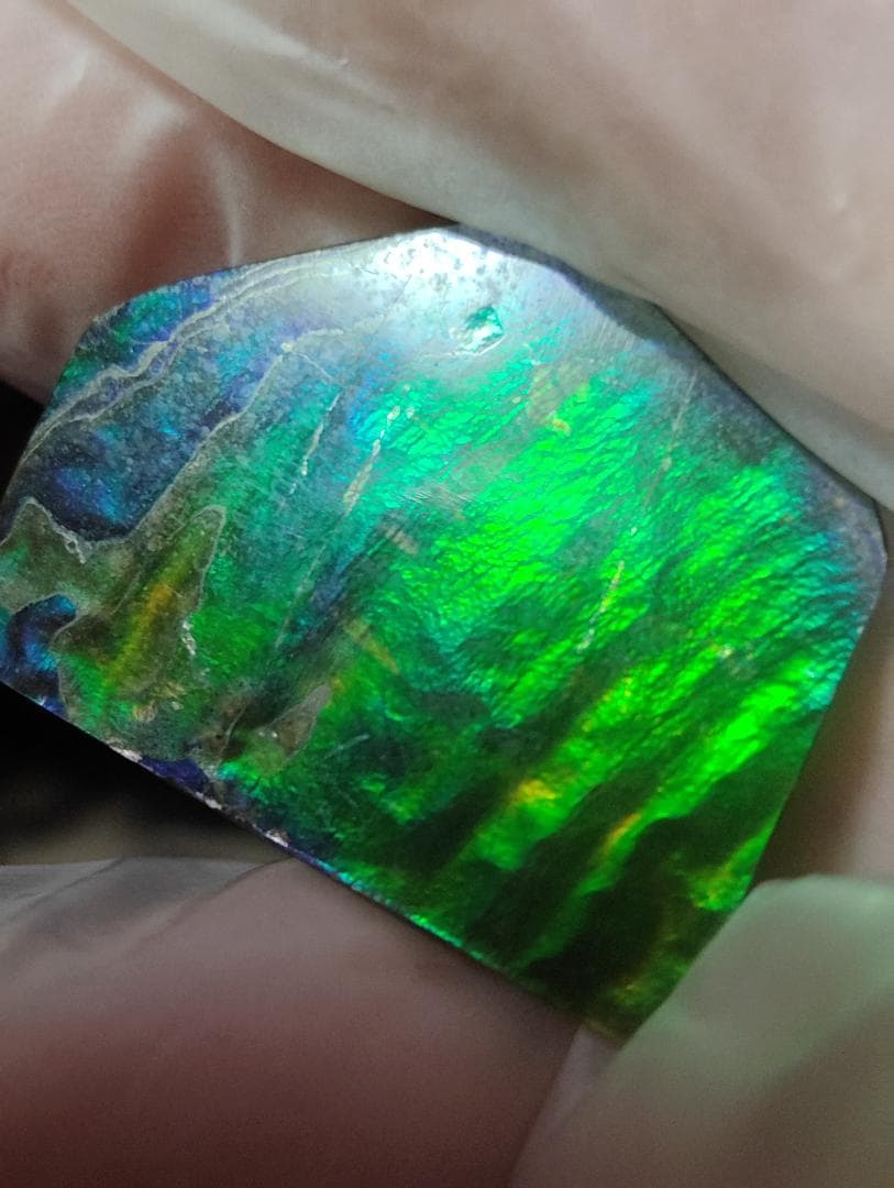 アンモライト　ルース　24-1418 32000