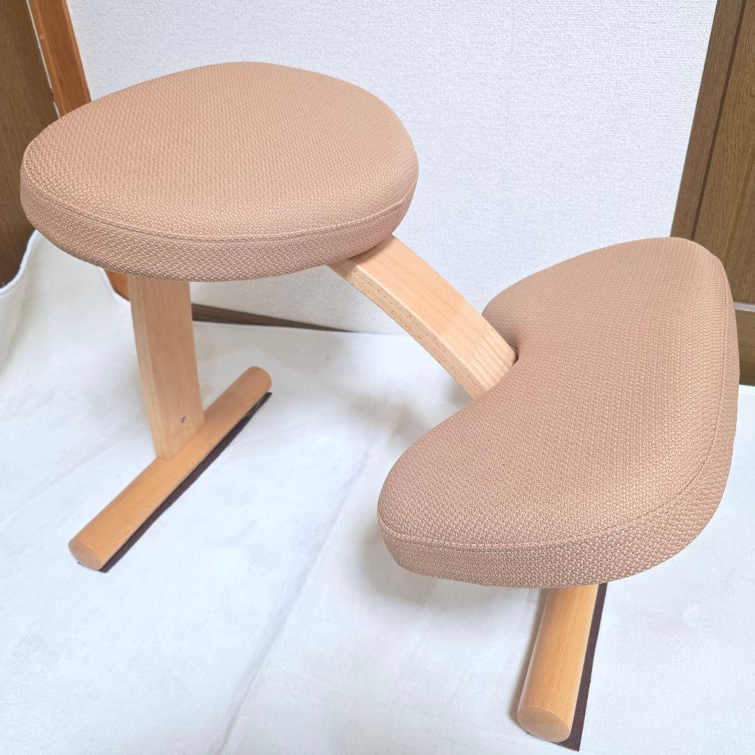 446】Rybo リボ社 Balans Easy バランスイージー カバー付