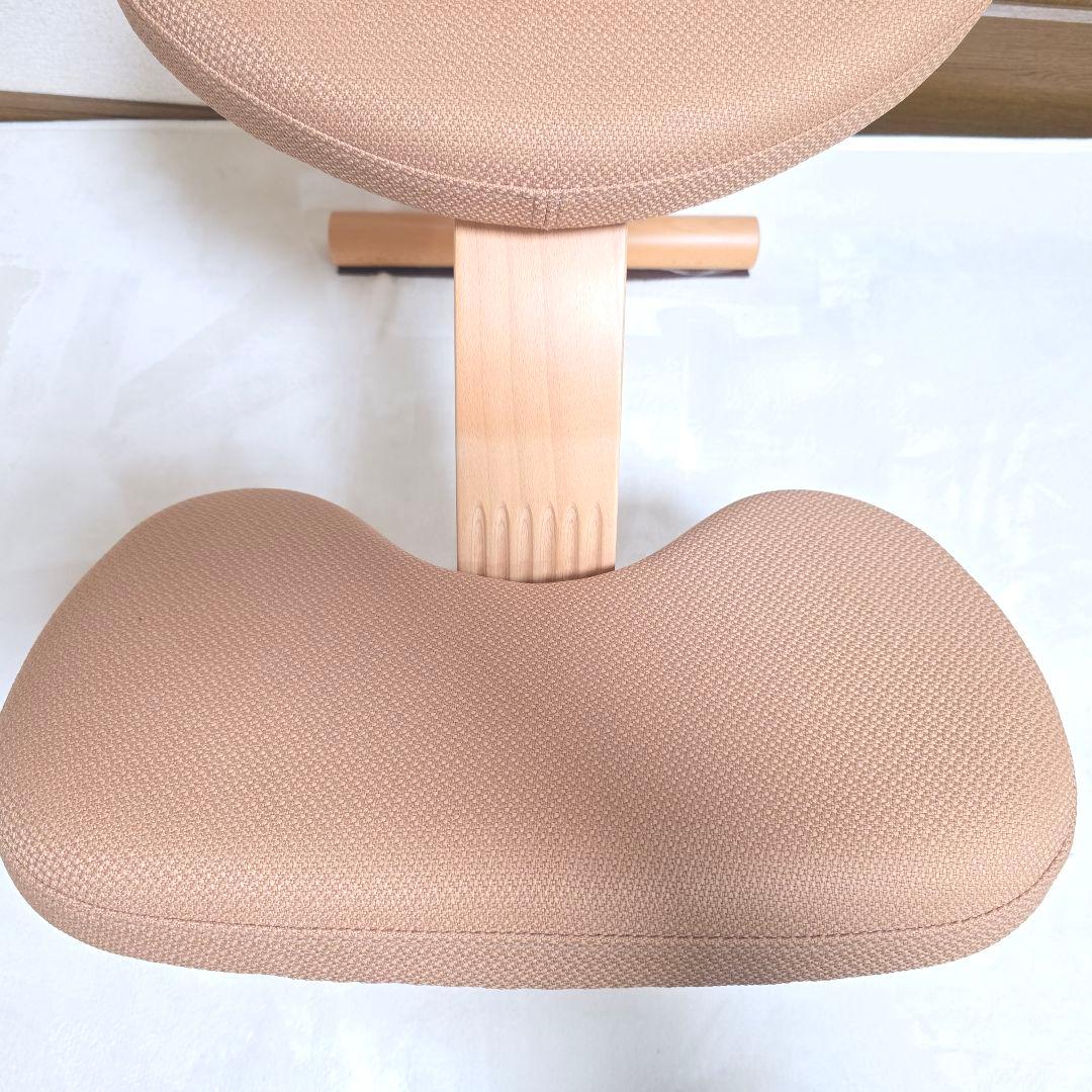 446】Rybo リボ社 Balans Easy バランスイージー カバー付