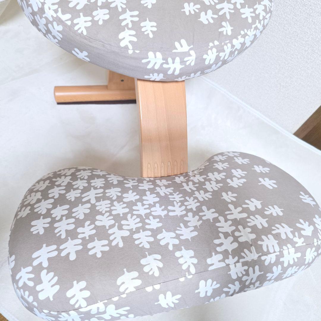 446】Rybo リボ社 Balans Easy バランスイージー カバー付