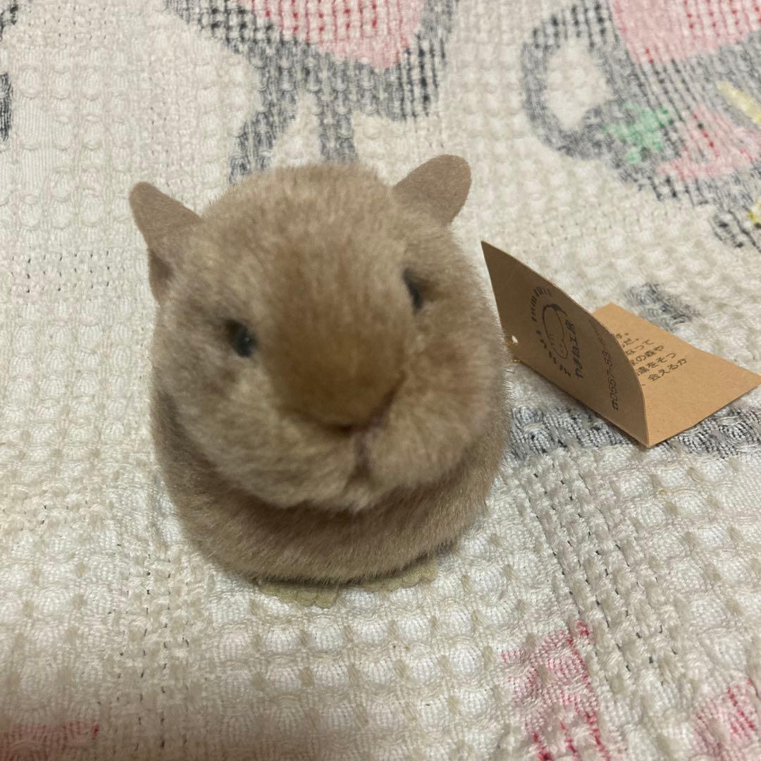 やまね工房　鳴く ナキウサギ　ぬいぐるみ　タグつき　中古品