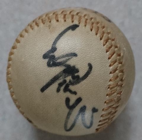 希少 王貞治 長嶋茂雄 直筆 サイン ボール 読売 ジャイアンツ 巨人軍現役時代