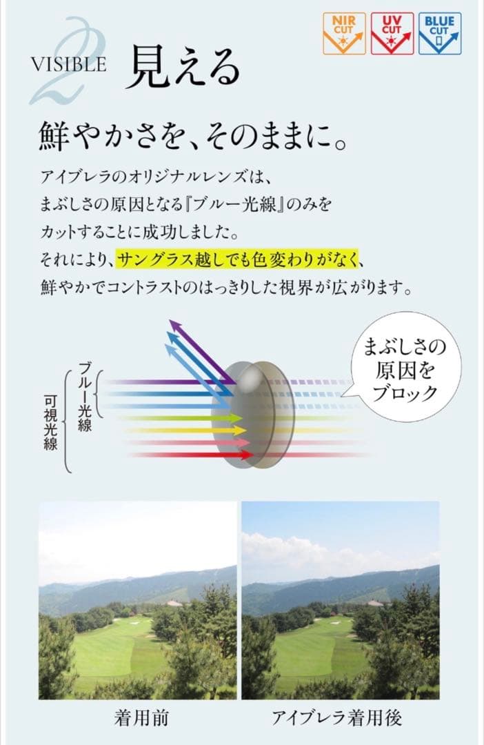 【未使用に近い】アイブレラクリアカノン サングラス eyebrella ブラウン