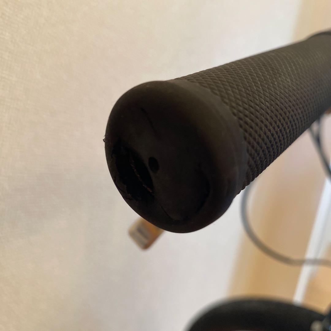 MARIN DONKY JR. 20インチ 青