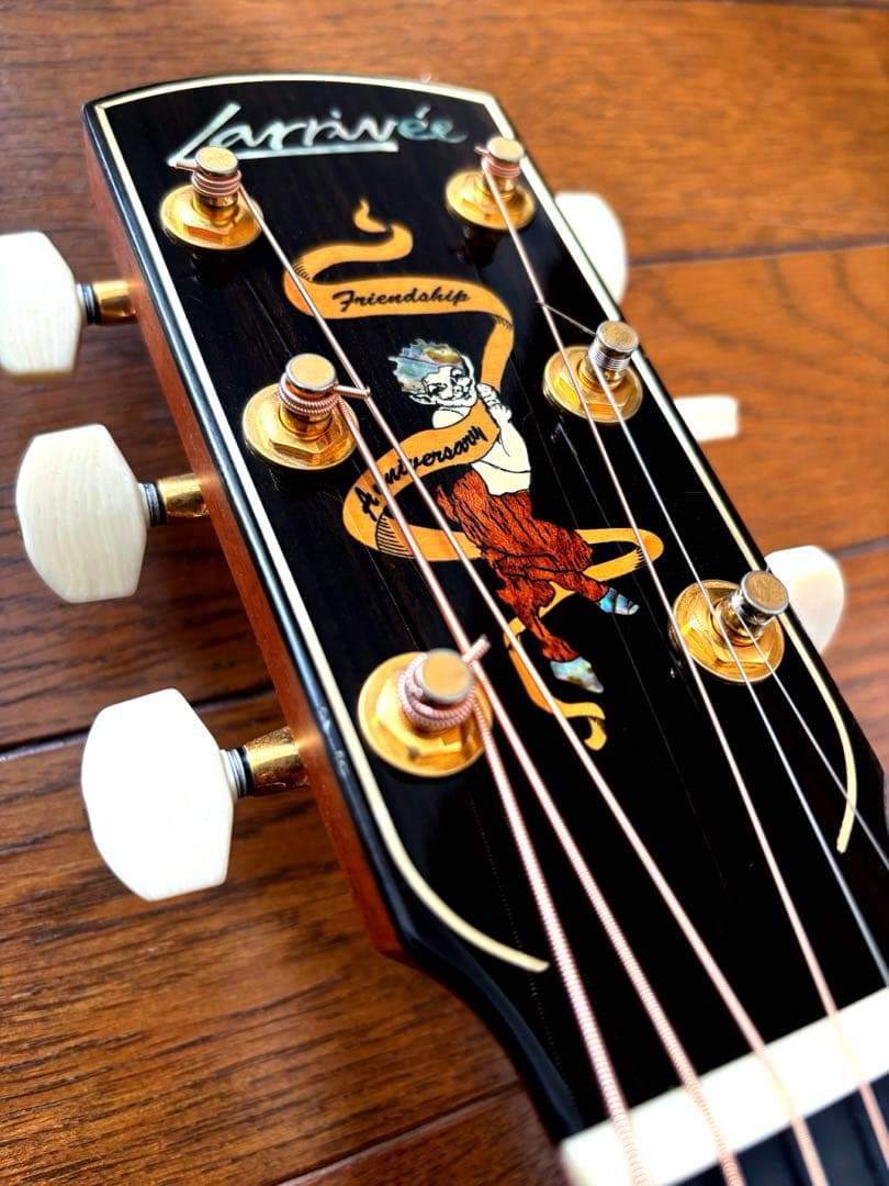 ギター Larrivee LV-10MR