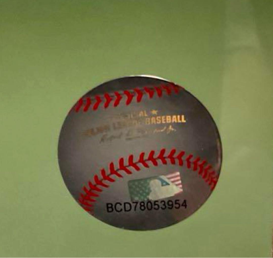 Femando Tatis Jr 直筆サイン　16×20 ホログラム