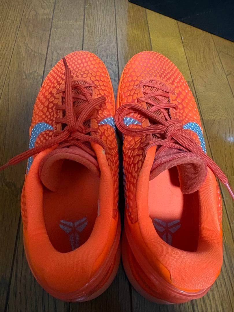 ナイキコービー6プロトロ