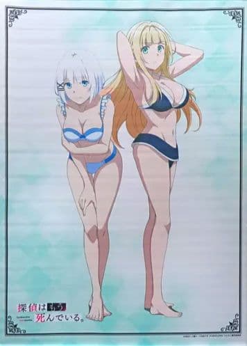 【新品未開封】シエスタ＆シャーロット B2タペストリー 水着のB2タペストリー