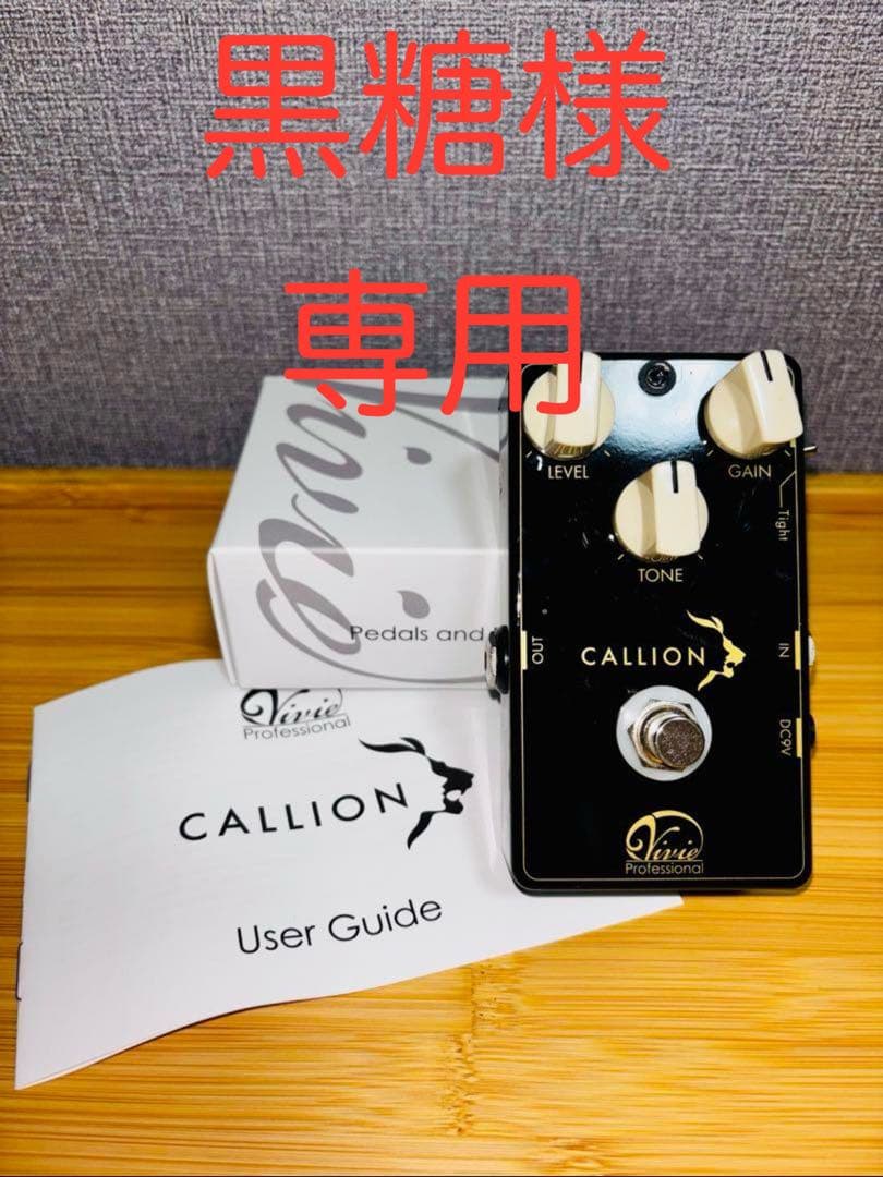 ギター Vivie / CALLION