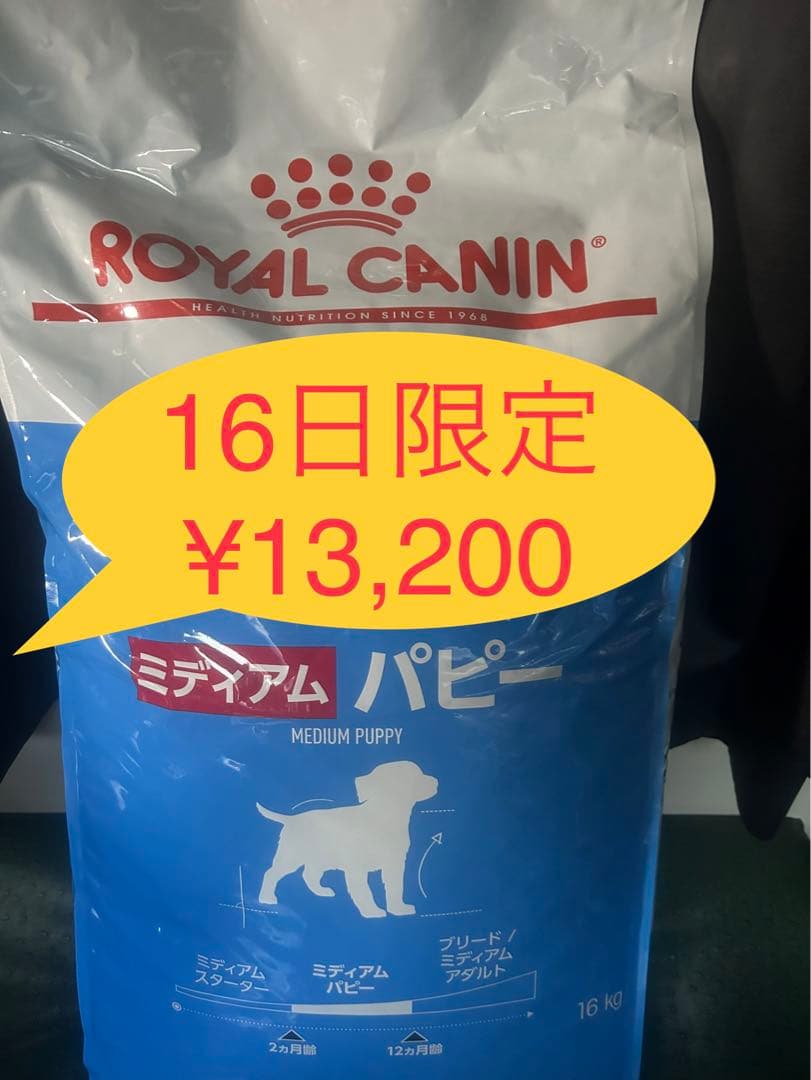 ロイヤルカナン　ミディアムパピー16kg★16日限定価格ですょ〜(^o^)