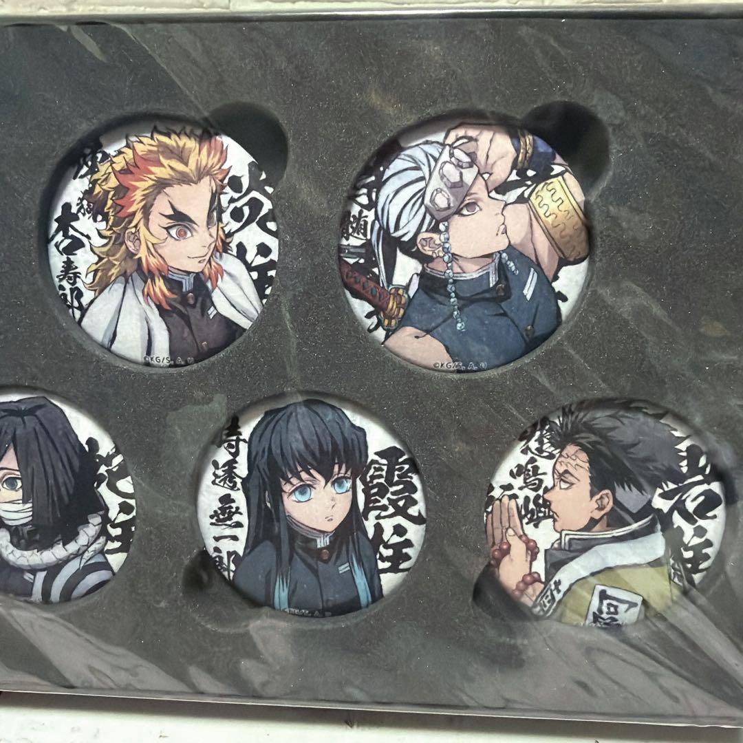 鬼滅の刃 柱合会議編 蝶屋敷編 缶バッジセット