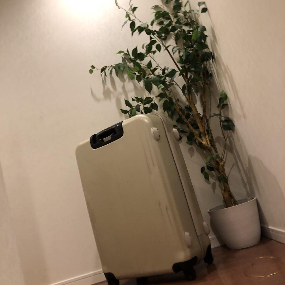 キャリーバック(大)