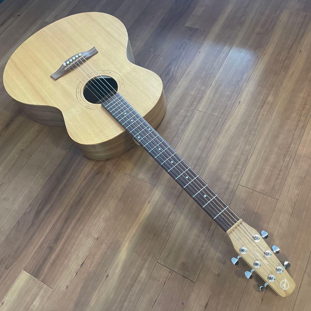 よしさん専用 シーガルのウォールナットミニジャンボ 専用ケース付