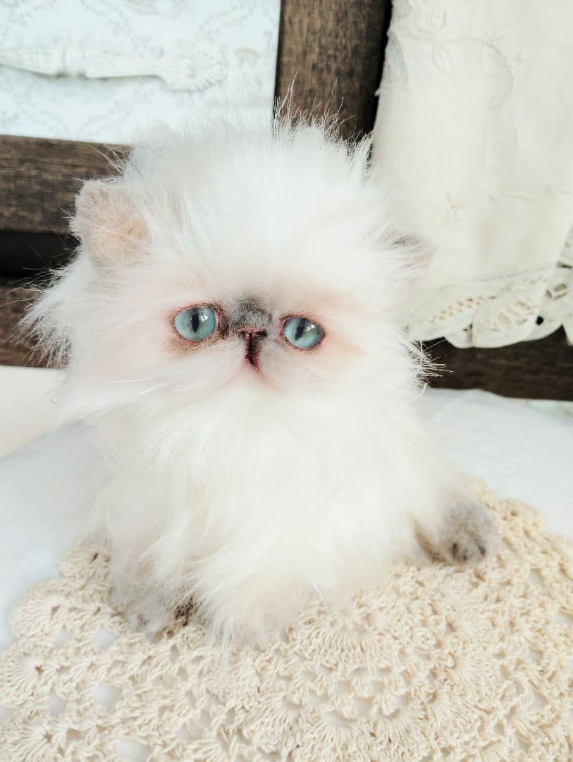 ヒマラヤン♡子猫のミミちゃん♡アートドール♡ぬいぐるみ♡