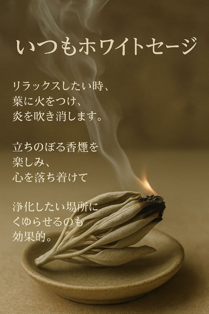 激安価格☆無農薬ホワイトセージ枝付きクラスター1kgお香浄化業務用価額