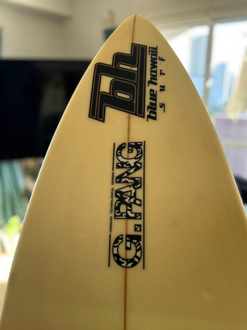 【絶版】ブルーハワイ G. PANG blue hawaii surf ショート