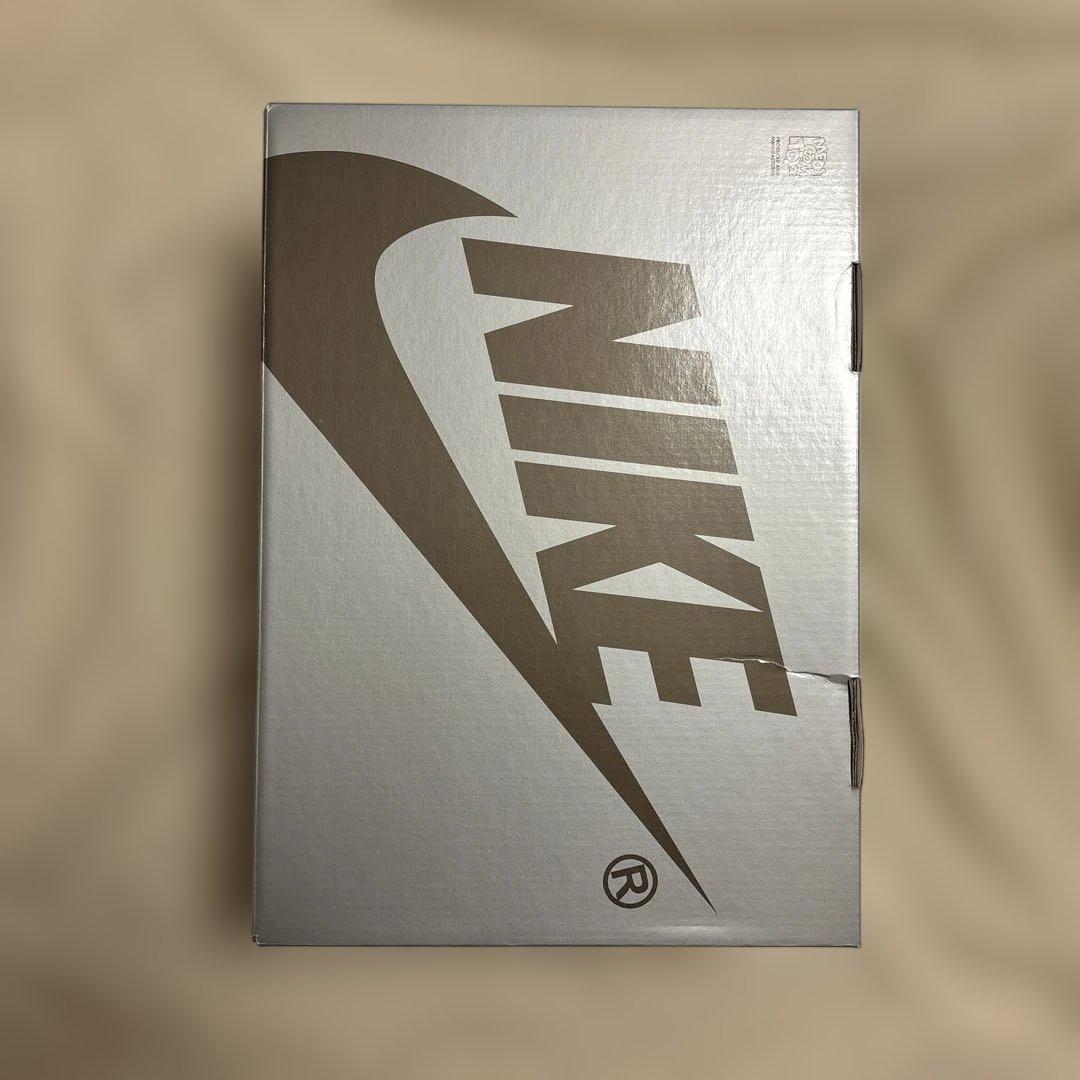 MEDICOM TOY×NIKE SB REESE FORBES フィギュア限定