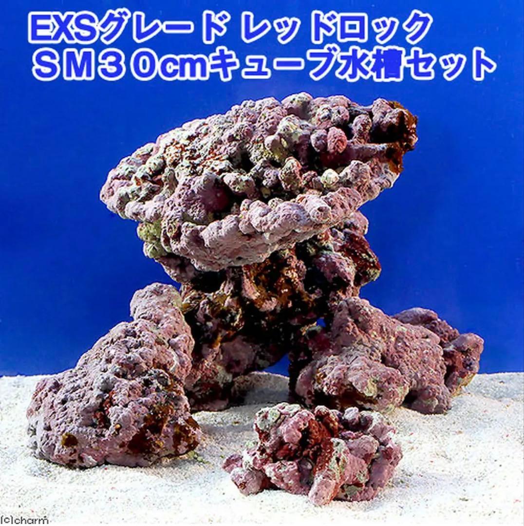 ライブロック EXSグレード レッドロック 30cm水槽用形状はコメントで要相談